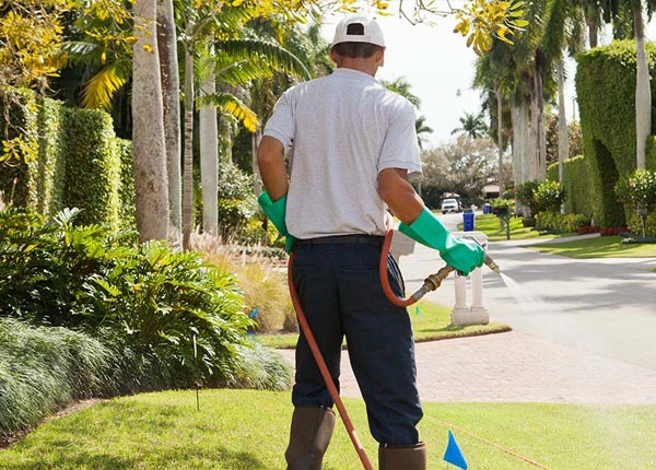About West Suffield CT Pest Control